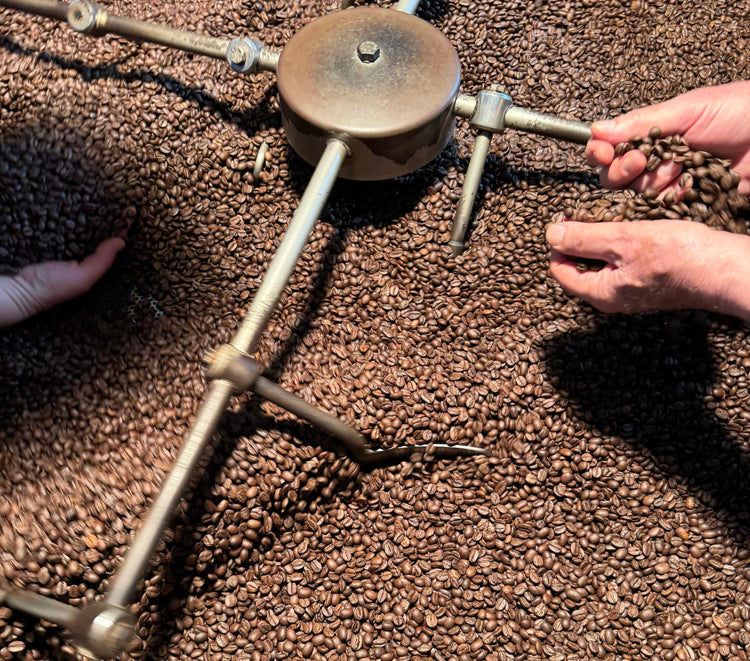 UN'EREDITÀ DI COMPETENZA NEL CAFFÈ