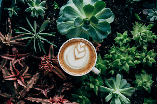 ☕ Come riconoscere un buon caffè